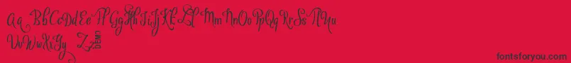 VytorlaMixDemo Font – Black Fonts on Red Background