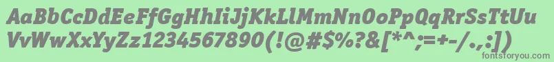 OfficinaSerItcBlackItalic Font – Gray Fonts on Green Background
