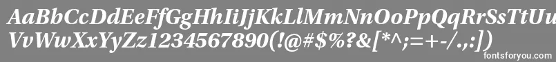 UtopiastdBoldit Font – White Fonts on Gray Background
