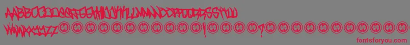 TurntupBold Font – Red Fonts on Gray Background