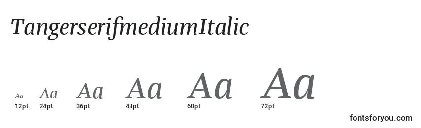Размеры шрифта TangerserifmediumItalic