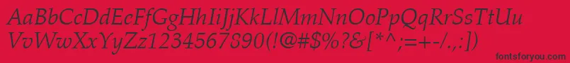 PalatinoLtLightItalic Font – Black Fonts on Red Background