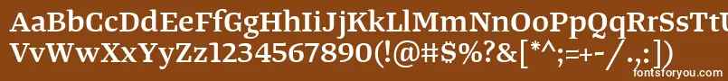 フォントTangerserifwideSemibold – 茶色の背景に白い文字