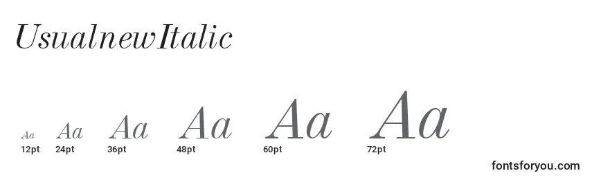 Размеры шрифта Usualnew Italic