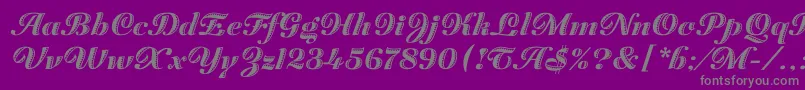 ZaragozaLetPlain.1.0-Schriftart – Graue Schriften auf violettem Hintergrund