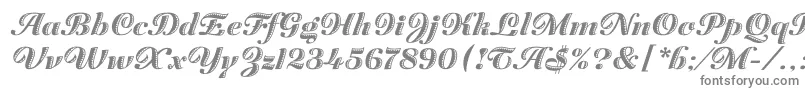 Шрифт ZaragozaLetPlain.1.0 – серые шрифты на белом фоне