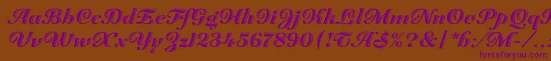 ZaragozaLetPlain.1.0 Font – Purple Fonts on Brown Background