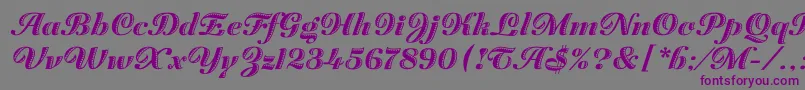 ZaragozaLetPlain.1.0 Font – Purple Fonts on Gray Background