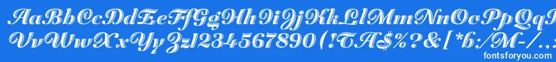 ZaragozaLetPlain.1.0 Font – White Fonts on Blue Background