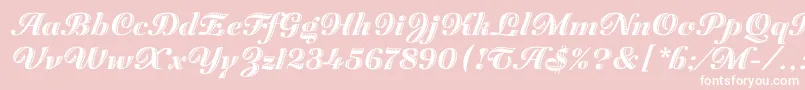 Шрифт ZaragozaLetPlain.1.0 – белые шрифты на розовом фоне