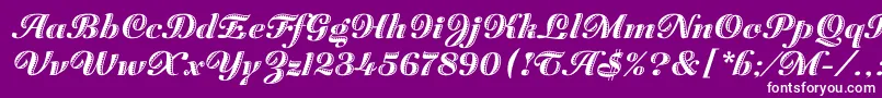 ZaragozaLetPlain.1.0-fontti – valkoiset fontit violetilla taustalla