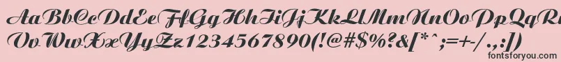 Ariston ffy Font – Black Fonts on Pink Background