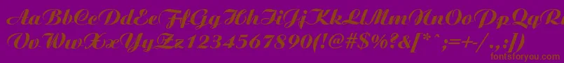 Ariston ffy Font – Brown Fonts on Purple Background