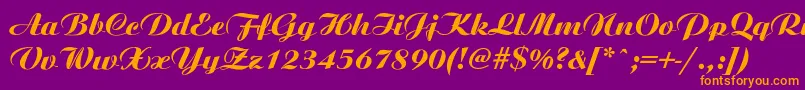 Ariston ffy Font – Orange Fonts on Purple Background