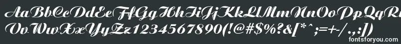Ariston ffy Font – White Fonts