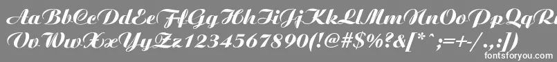 フォントAriston ffy – 灰色の背景に白い文字