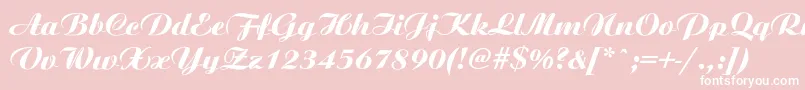 Ariston ffy Font – White Fonts on Pink Background