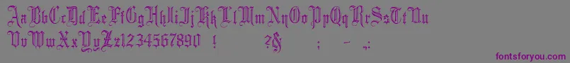 MinsterNo2-fontti – violetit fontit harmaalla taustalla