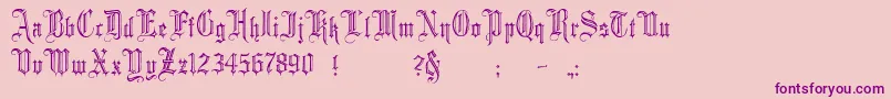 MinsterNo2 Font – Purple Fonts on Pink Background
