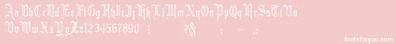 MinsterNo2 Font – White Fonts on Pink Background