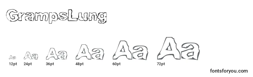 Размеры шрифта GrampsLung