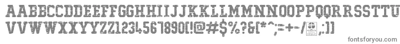 フォントTypoCollegeDestroyedDemo – 白い背景に灰色の文字