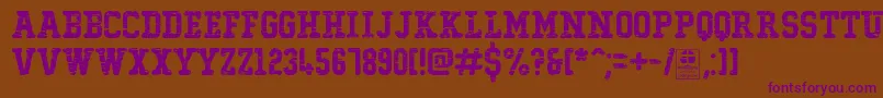 TypoCollegeDestroyedDemo Font – Purple Fonts on Brown Background