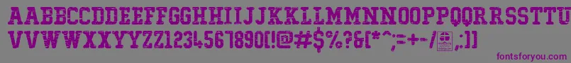 TypoCollegeDestroyedDemo Font – Purple Fonts on Gray Background