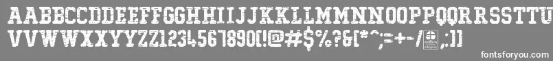 フォントTypoCollegeDestroyedDemo – 灰色の背景に白い文字