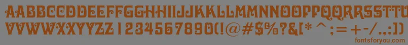 DavidaBoldBt Font – Brown Fonts on Gray Background