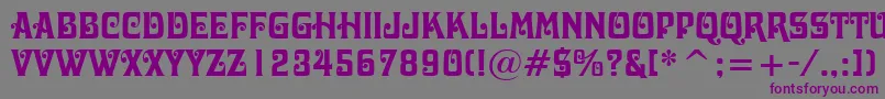 Шрифт DavidaBoldBt – фиолетовые шрифты на сером фоне