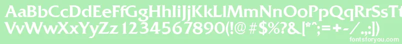 QuadratserialMediumRegular Font – White Fonts on Green Background