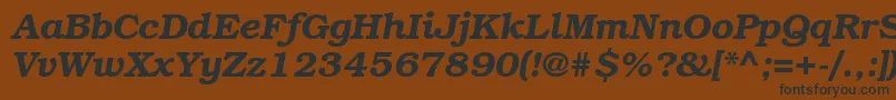 Bkm76C Font – Black Fonts on Brown Background