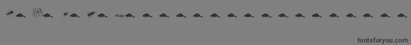 fuente Animals2 – Fuentes Negras Sobre Fondo Gris