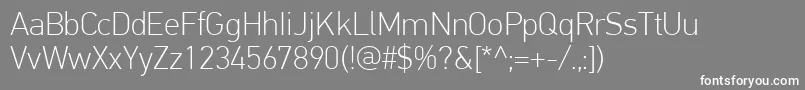 PfdintextproThin Font – White Fonts on Gray Background