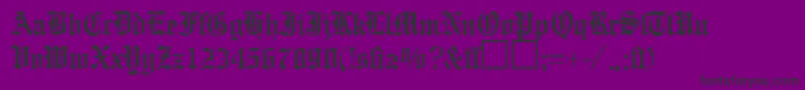 EnglishgravureRegularDb Font – Black Fonts on Purple Background