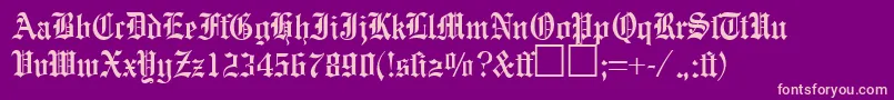 EnglishgravureRegularDb Font – Pink Fonts on Purple Background