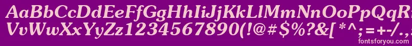 Suevermeer6Demiitalicsh Font – Pink Fonts on Purple Background