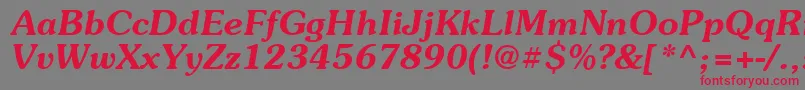 Suevermeer6Demiitalicsh Font – Red Fonts on Gray Background