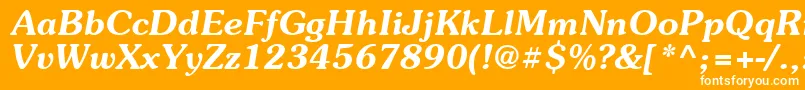 Suevermeer6Demiitalicsh Font – White Fonts on Orange Background