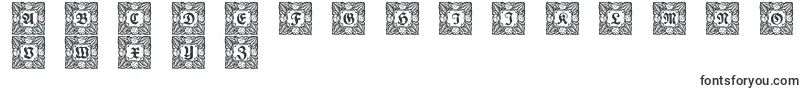 Schmuckinitialen3-Schriftart – Schriftarten, die mit S beginnen