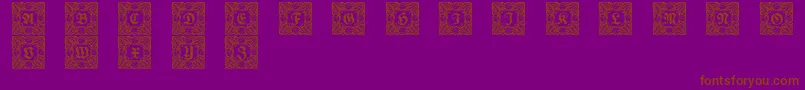 Schmuckinitialen3 Font – Brown Fonts on Purple Background