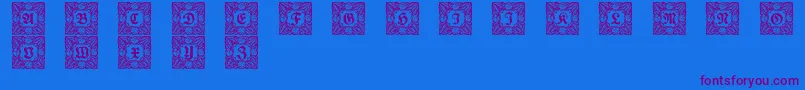 Schmuckinitialen3 Font – Purple Fonts on Blue Background