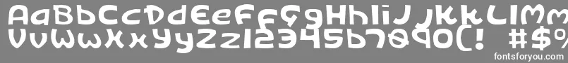 KingsRansomLight Font – White Fonts on Gray Background