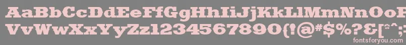 Saddlebag-fontti – vaaleanpunaiset fontit harmaalla taustalla