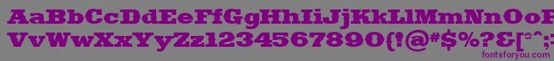 Saddlebag-fontti – violetit fontit harmaalla taustalla