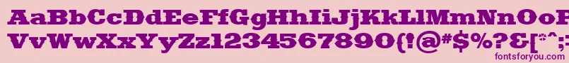 Saddlebag Font – Purple Fonts on Pink Background