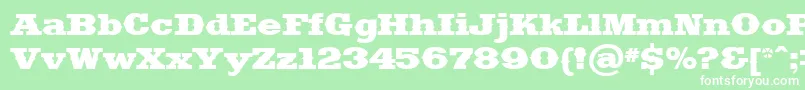 Saddlebag-Schriftart – Weiße Schriften auf grünem Hintergrund