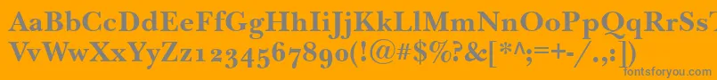 More about NewbaskervilleodttBold Font NewbaskervilleodttBold Font – Gray Fonts on Orange Background