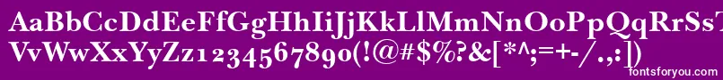 NewbaskervilleodttBold Font – White Fonts on Purple Background